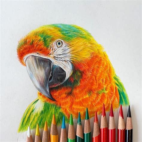 Embark On A Creative Journey Pencil Drawings Of Nature Colorful