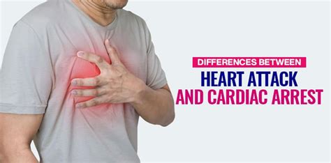 Differences Between Heart Attack And Cardiac Arrest