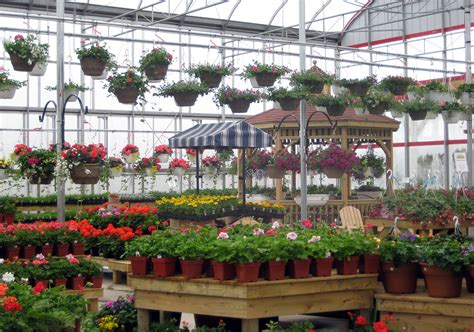 Culver's garden center and greenhouse, marion, ia. PEI's Best Garden Centre | York, Prince Edward Island