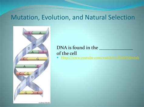 Ppt Mutation Evolution And Natural Selection Powerpoint