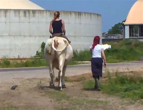 Teenage Cowgirl Trains Cow To Be Ridden Like Horse Viraltab