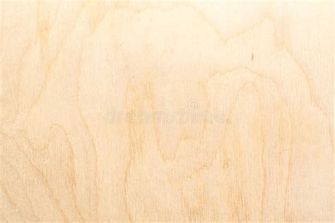 Real Natural Light Birch Plywood High Detailed Wood Texture Stock