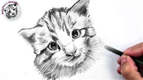 Cómo Dibujar Un Gato Pequeño A Lápiz Fácil Paso A Paso Youtube