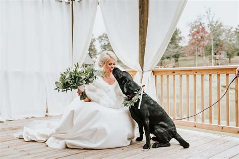 Brides Decision To Bring Her Dog To Her First Look Photoshoot Makes