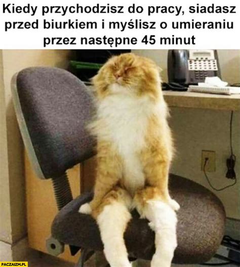 Kontrowersyjny mem obraża i umniejsza rolę matki w społeczeństwie. Kiedy przychodzisz do pracy, siadasz przed biurkiem i ...