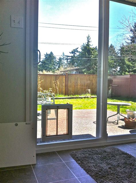 12.diy doggy door mini sliding barn door style! Cat Door Glass Slider | Sliding glass dog door, Pet patio door, Patio panel pet door