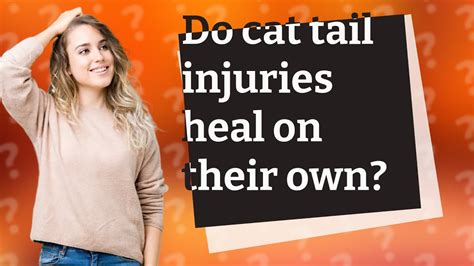 Do Cat Tail Injuries Heal On Their Own Youtube