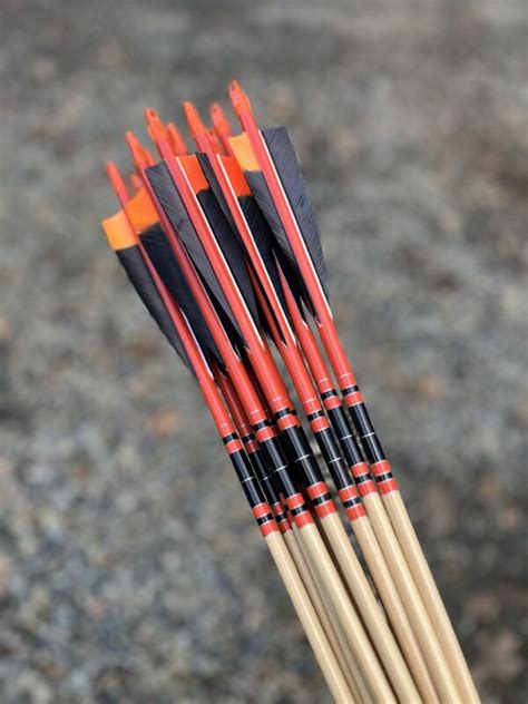 1132 55 60 Parallel Poc Arrows Wapiti Archery Poc
