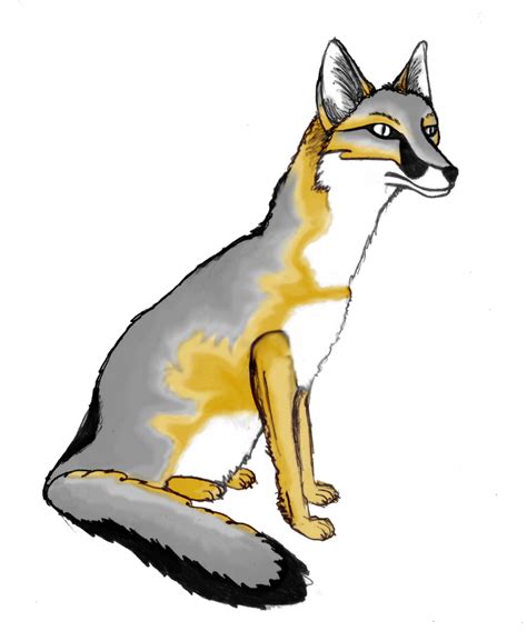 Swift Fox First Color Second By Chromone On Deviantart