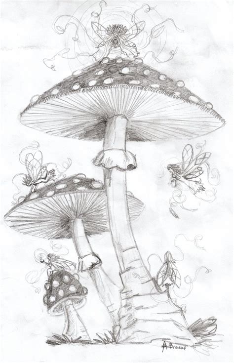 Fairy Drawings Mushroom Drawing Fantasy Drawings