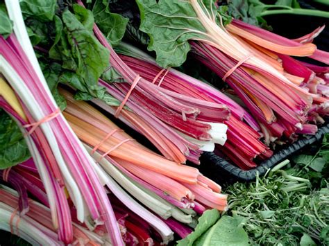 When Should You Not Eat Rhubarb