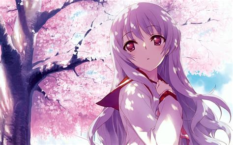 Cherry Blossoms Trees School Uniforms Long Hair Outdoors Pink Hair