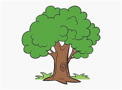 How To Draw A Cartoon Tree Cartoon Tree Drawing Hd Png Download