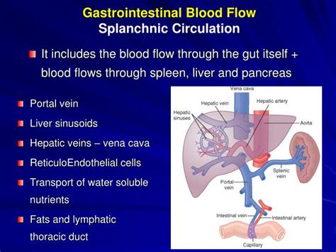 The blood carries various materials that the body needs, and takes away waste or harmful substances. PPT - Gastrointestinal Functions Motility, Nervous Control ...