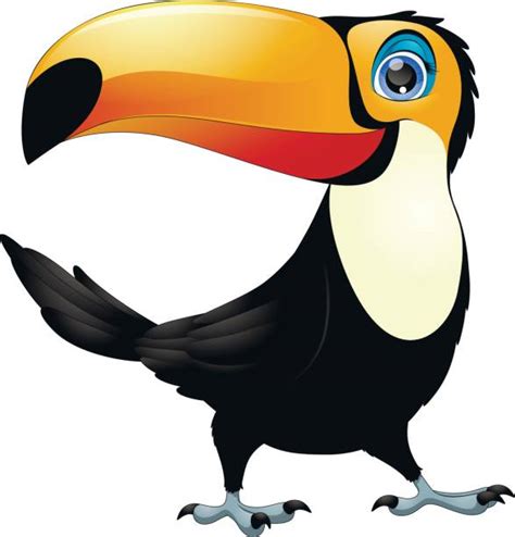 Toucan Clip Art Vector Images And Illustrations Istock