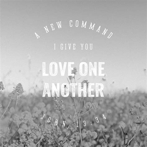 Love One Another The Living Message Of Christ
