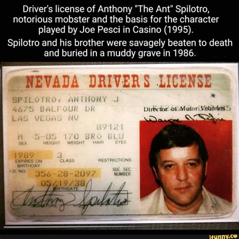 Drivers License Of Anthony The Ant Spilotro Notorious Mobster And
