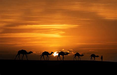 Arabian Nights Smithsonian Photo Contest Smithsonian Magazine