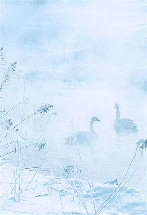 Shrouded In The Mist Pastel Blue Light Blue Aesthetic