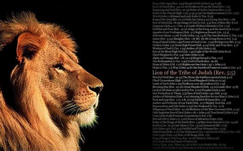 Lion Of Judah Wallpapers Wallpaper Cave