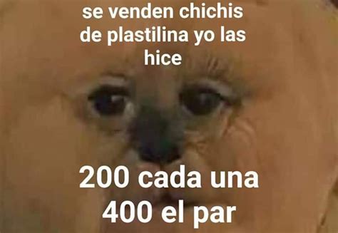 Bara Memes Amino Español Amino