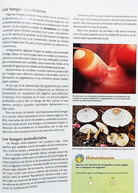 Aprendiendo Biología Desde Casa Tpn°8 Para 1°aÑo