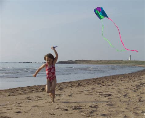 Fly A Kite Beach Activities Beach Fun Kite Flying