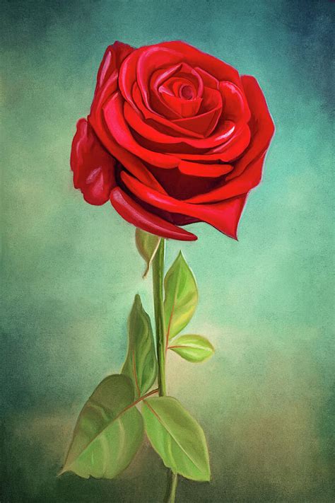 Red Rose Digital Art By Enzo Art In Photography Fine Art America