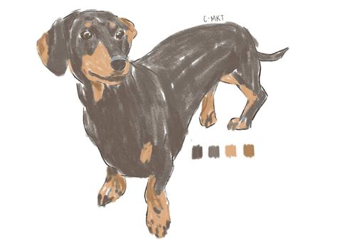 Dog Art Illustration Doodle Sausage Dog Dachshund Dog Sketch