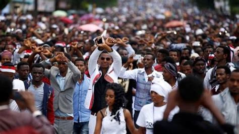 Protesters In Ethiopia Attack Factories Eco Lodge And Flower Farms At