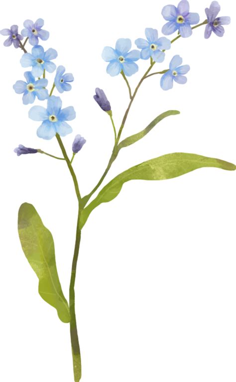 Forget Me Not Flower Wall Decor Tenstickers