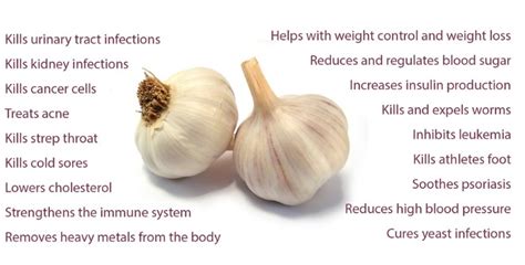 Best Health Benefits Of Garlic For Skin Hair And Health