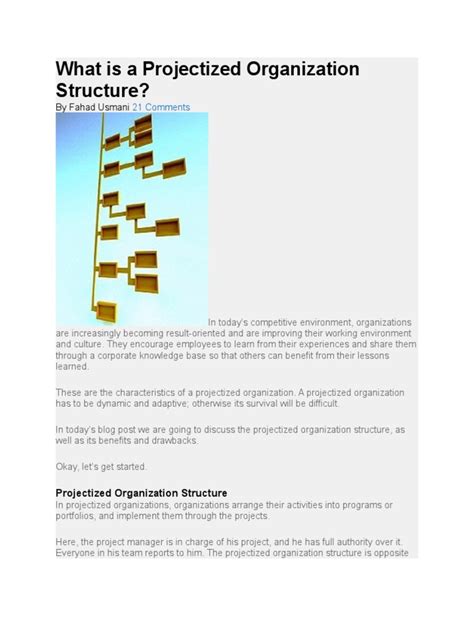 What Is A Projectized Organization Structure Pdf Business Process