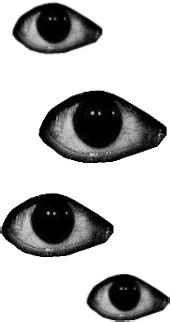 Weirdcore Eyes Freetoedit Eyes Eye Sticker By Makenzies