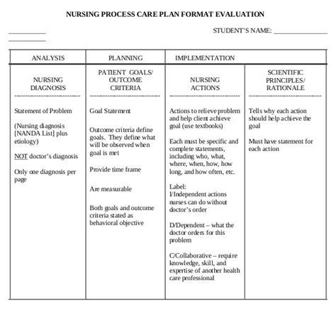 Assessment nursing diagnostic planning implementation (or nursing intervention). Veterinary Home Care Plan Template | plougonver.com