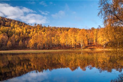 Beautiful Places Forest