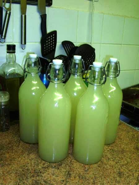 How To Start A Ginger Beer Plant And Make Homemade Ginger Beer