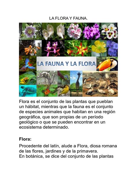 calaméo la flora y fauna