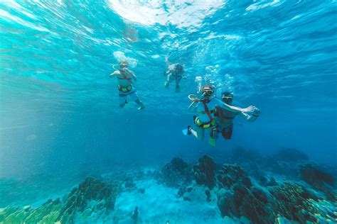 Snorkeling In Aruba Review 2023 Divein