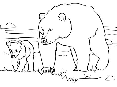 Other pictures may be about baloo from. Bears to print - Bears Kids Coloring Pages