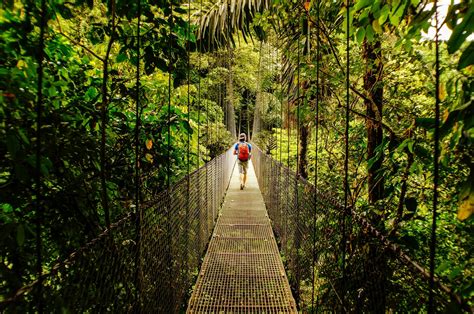 Costa Rica Rainforest Hike 4k Hd Wallpaper