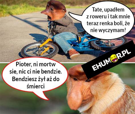 Kiedy Pioter Wywali Sie Na Rowerze Xd Lols Pl