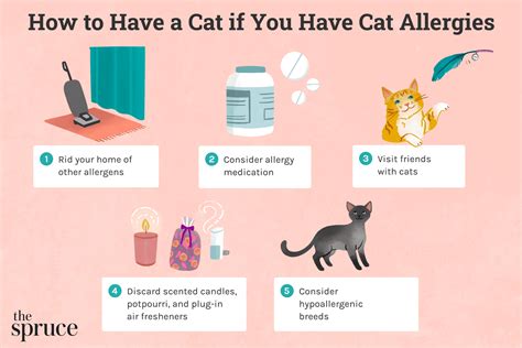 How To Have A Cat If You Have Cat Allergies