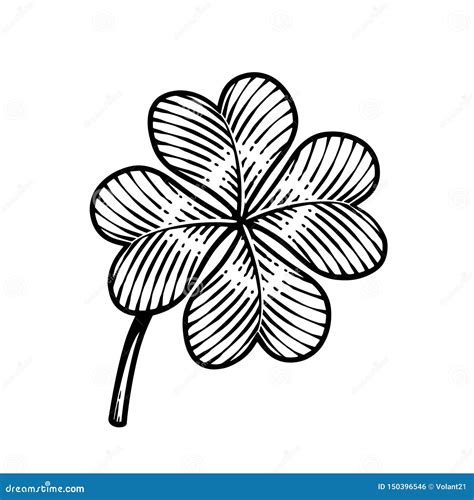Lucky Four Leaf Clover In Vintage Engraving Style Stock Vector