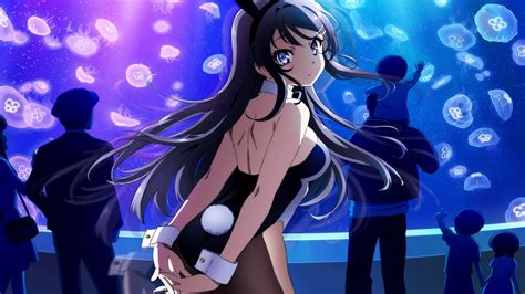 Rascal Does Not Dream Of Bunny Girl Senpai Openload Full