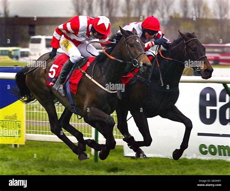 Horse Racing Scottish Grand National Ayr Racecourse Stock Photo Alamy