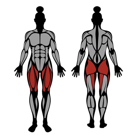 Bulgarian Split Squat Muscles Worked And Technique Strengthlog