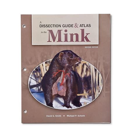 Carolina Biological Supply Company A Dissection Guide And Atlas To The Mink Oriental Trading