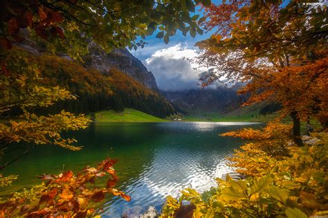 Autumn Mountains Trees Viewes Clouds Lake For