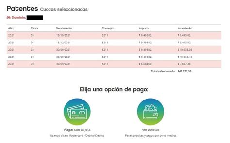 Cómo pagar la patente todo el año Actualizado 2024